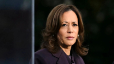 Kamala Harris se dirige a sus partidarios después de sus vacaciones tras las elecciones