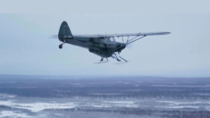 ¡Es un pájaro! ¡Un avión!» En Alaska, son las dos cosas, con un piloto lanzando pavos a casas rurales