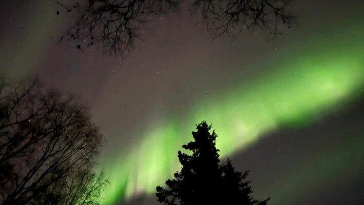 Tenues auroras boreales podrían verse en algunas partes de EE. UU. este Día de Acción de Gracias