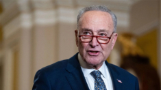 Schumer destaca el «papel vital» del Senado para examinar a los nominados de Trump