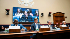 Legisladores del Comité de la Cámara debaten sustitución de Teoría Crítica de la Raza en escuelas