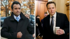 Con DOGE, Musk y Ramaswamy se enfrentan al «objeto inamovible»