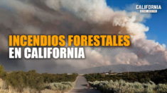 ¿Por qué los incendios en California están aumentando? | Jim Steele | Ian Faloona