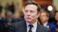 Valor neto de Musk está cerca de USD 450,000 millones y las acciones de Tesla se disparan