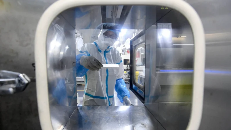 Un técnico de laboratorio trabaja en las muestras que se van a analizar para detectar COVID-19 en el laboratorio Fire Eye, una instalación de análisis de COVID-19, en Wuhan, China, el 5 de agosto de 2021. (STR/AFP vía Getty Images)
