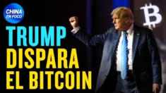 Trump hace un anuncio y el bitcoin sube a un máximo histórico