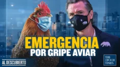 Estado de emergencia por gripe aviar en California