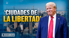 Mega proyecto de Trump que aliviaría problemas económicos y vivienda en EE. UU.