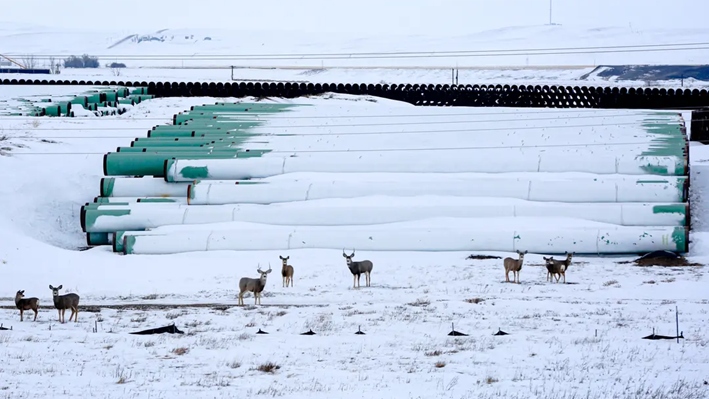 Un depósito utilizado para almacenar tuberías para el oleoducto Keystone XL, planeado por TC Energy Corp, se ve en Gascoyne, Dakota del Norte, el 25 de enero de 2017. (Terray Sylvester/Reuters)