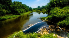 Directivo de empresa es imputado por descarga de petróleo y productos químicos en el río Flint de Michigan