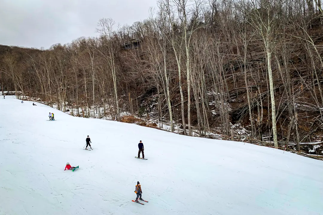 El 8 de diciembre de 2024, esquiadores y snowboarders de Sugar Mountain se deslizan entre un montón de árboles derribados por el huracán Helene más de dos meses antes. (T.J. Muscaro/The Epoch Times).