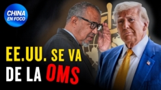 Trump se prepara para saca a EE.UU. de la OMS, Tedros Adhanom responde