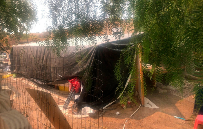 Un invernadero improvisado detrás de una casa donde ocurrieron asesinatos, relacionados con una operación de cultivo de marihuana, en Aguanga, California, el 8 de septiembre de 2020. (Elliot Spagat/Foto AP)
