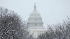 Se esperan fuertes nevadas en Washington el 6 de enero y congresista emite una advertencia