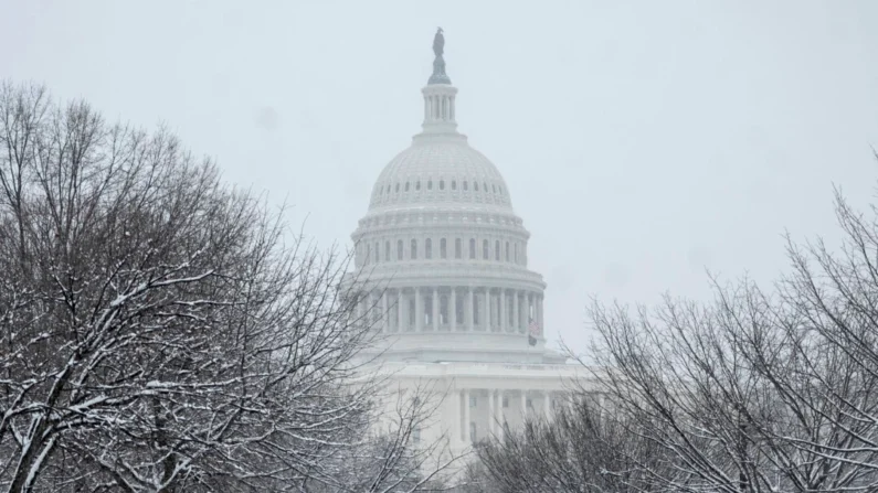 El Capitolio de EE. UU. al fondo de árboles cubiertos de nieve en Washington el 19 de enero de 2024. (Pedro Ugarte/AFP a través de Getty Images)