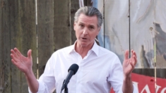 Newsom responde los comentarios de Trump sobre incendios forestales y dice que Biden «no hizo política»