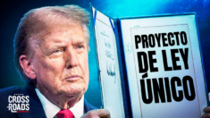 Trump planea gran proyecto de ley para implementar su agenda