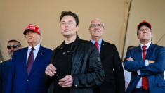 Elon Musk pone a prueba su influencia política al otro lado del Atlántico