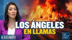 Los Ángeles en Llamas: Tragedia y Resiliencia