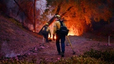 Número de muertos en incendio de LA asciende a 16 mientras autoridades amplían evacuaciones