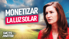 El Plan Federal para monetizar la luz solar, la polinización de las abejas y la fotosíntesis en sus tierras