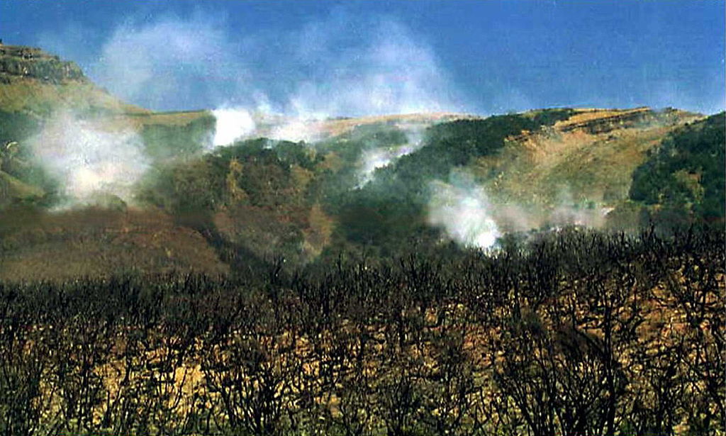 Incendio forestal arrasa más de 3000 hectáreas de Parque Nacional en Argentina