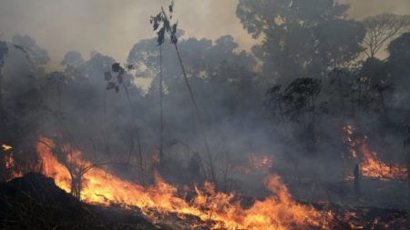Força Nacional vai combater incêndios e queimadas no Acre