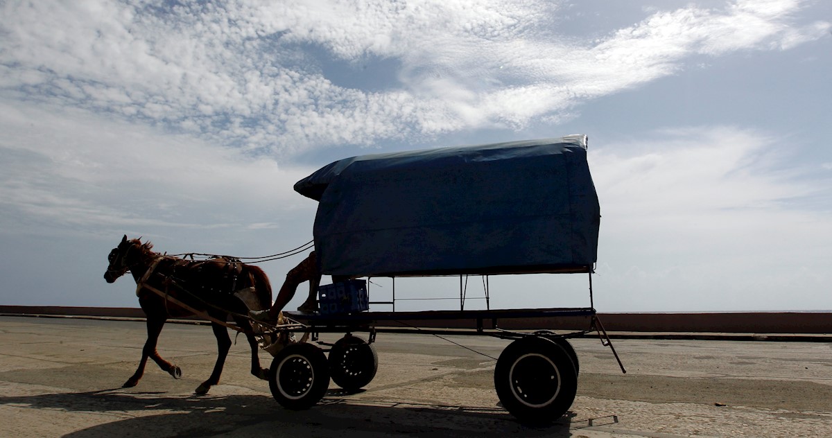 Foto de arquivo de 13 de junho de 2018 mostrando um cavalo carregando uma carroça, em Baracoa (Cuba). (EFE / Ernesto Mastrascusa / FILE)