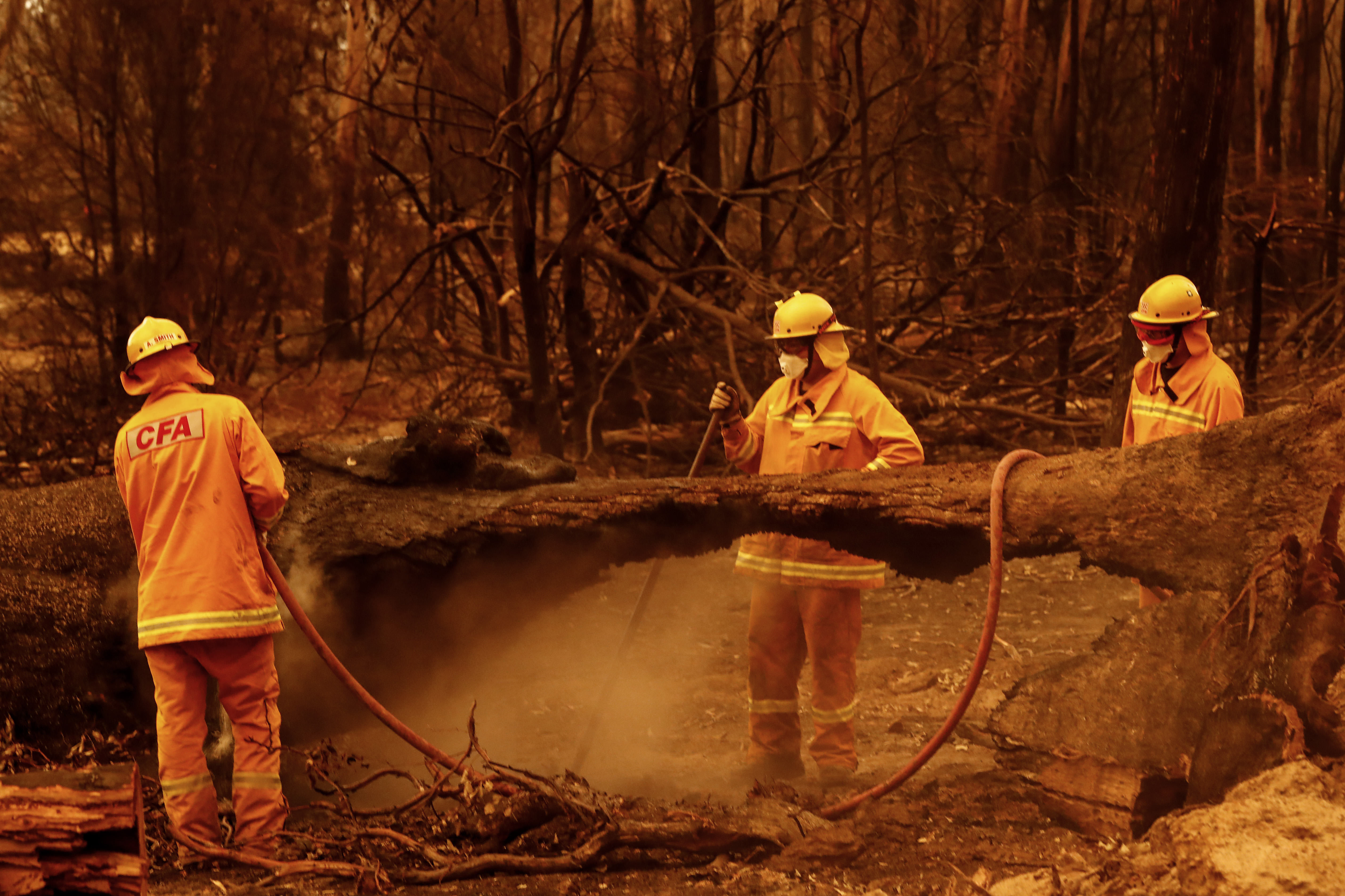 Bombeiros apagaram incêndios em Sarsfield, Austrália, em 4 de janeiro de 2020 (© Getty Images | Darrian Traynor)