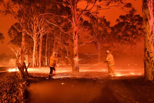 australia nsw nowra bushfires