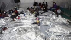 Twitter dice que “aplicó incorrectamente” una advertencia en fotos de instalaciones para inmigrantes
