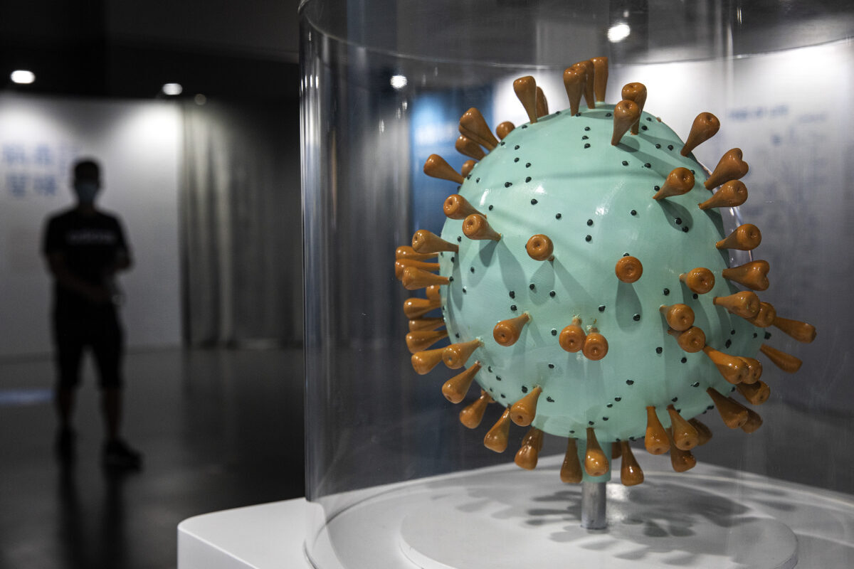 The COVID-19 virus model