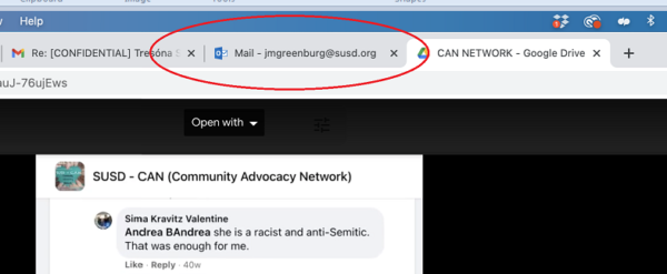 Screenshot of desktop image showing the open tab of Jann-Michael Greenburg