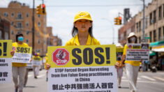 Un “crimen perfecto” sin sobrevivientes: Investigadores detallan la atroz industria de sustracción de órganos en China