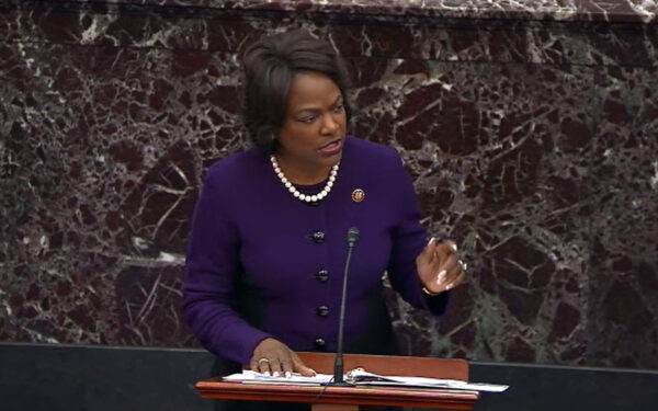 val demings