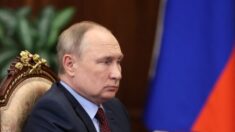 Putin dice a Ucrania que deje de luchar, ante pedidos de cese al fuego