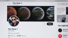 Elon Musk consulta a periodista sobre acusación de que el gobierno presiona a Twitter para censurarlo
