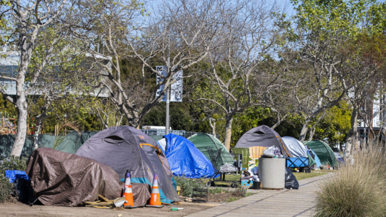 Tiendas de campaña sin hogar en el césped del parque frente a la biblioteca Abbot Kinney Memorial Branch en Venice, California, el 18 de febrero de 2022. (John Fredricks/The Epoch Times)