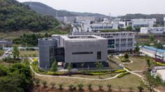 Gobierno de EE.UU. suspende la financiación al laboratorio de Wuhan por sus arriesgados experimentos