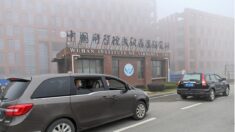 NIH cortan financiación a laboratorio de Wuhan, centro de la polémica de la filtración de COVID