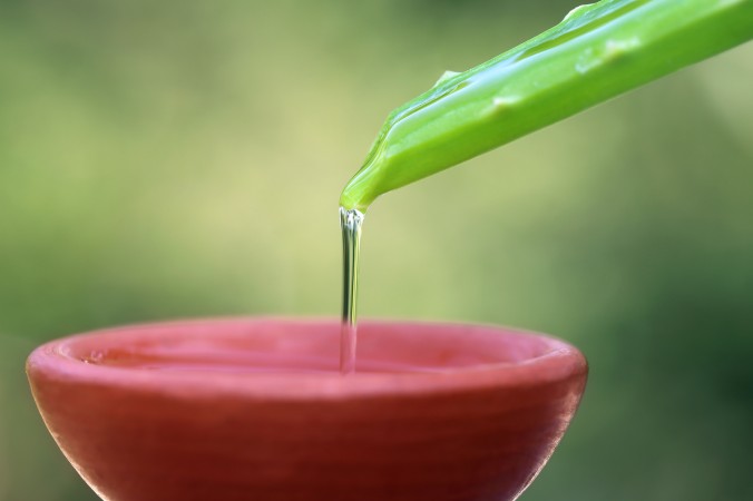 El aloe vera ha sido utilizado medicinalmente durante miles de años. (Shutterstock)