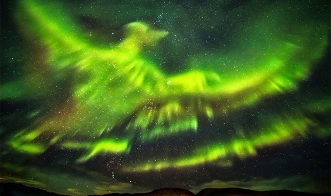Aurora boreal en forma de fénix. Foto: Foto: TW/ ‏@CherguiaMbark