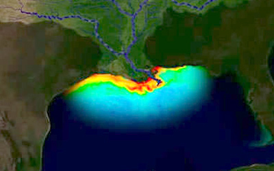 Zona Muerta del Golfo de México. (NOAA)