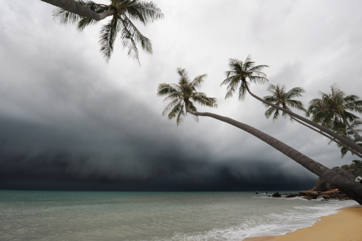 Podría formarse ciclón tropical en el Pacífico el fin de semana (foto Guenter Guni/Getty Images)