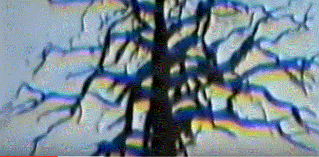 Goethe: Al mirar con un prisma se ve que los colores se generan entre la luz y sombra ( Vídeo)