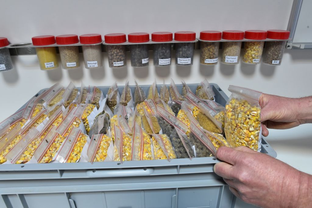 Un investigador con muestras de maíz y soja en un laboratorio en Loué, Francia, el 3 de febrero de 2017. (JEAN-FRANCOIS MONIER/AFP/Imágenes Getty)
