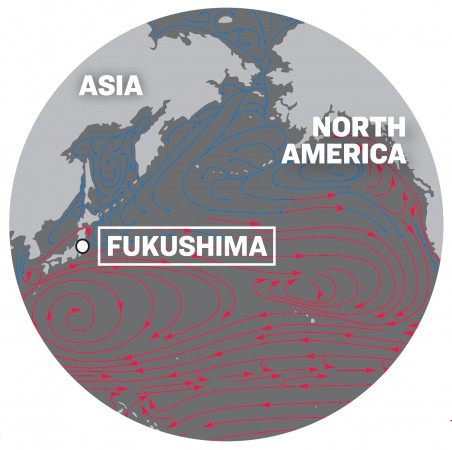 Un mapa expone la ubicación de la Central Nuclear de Fukushima Daiichi y las corrientes de agua en el Océano Pacífico. (SHUTTERSTOCK/La Gran Época)