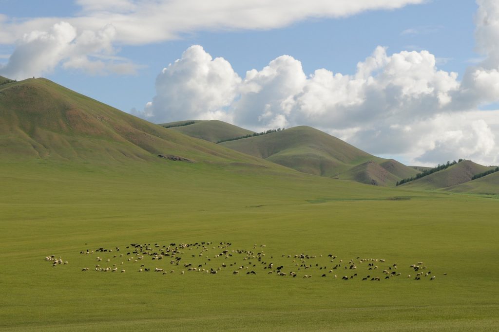 La gran extensión y las condiciones del territorio de mongolia han hecho más difícil la búsqueda de la tumba de Gengis Kan (Pixabay).