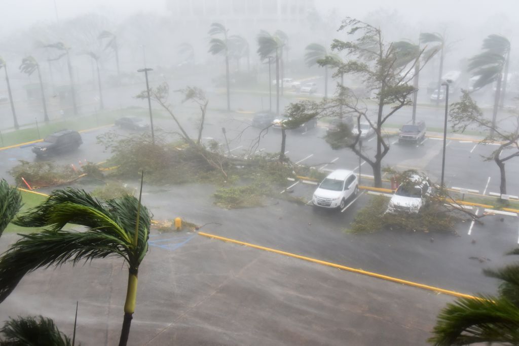 Árboles derribados en un estacionamiento en el Coliseo Roberto Clemente en San Juan, Puerto Rico, el 20 de septiembre de 2017, durante el paso del huracán María. (HECTOR RETAMAL / AFP / Getty Images)